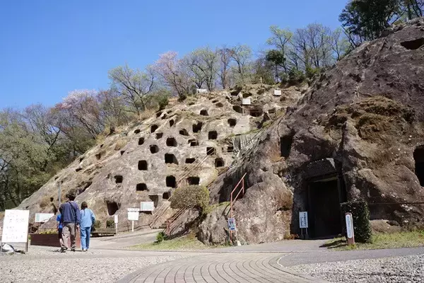 「【武蔵野うどん】フードコートで食べられるご当地グルメ「竹國」の武蔵野うどんが好きすぎた：パリッコ『今週のハマりめし』第234回」の画像