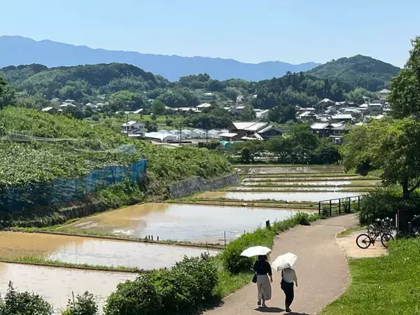 「世界遺産登録ほぼ決定！　奈良県「飛鳥・藤原の宮都」地元民のホンネ　うれしさの半面、不安も......」の画像