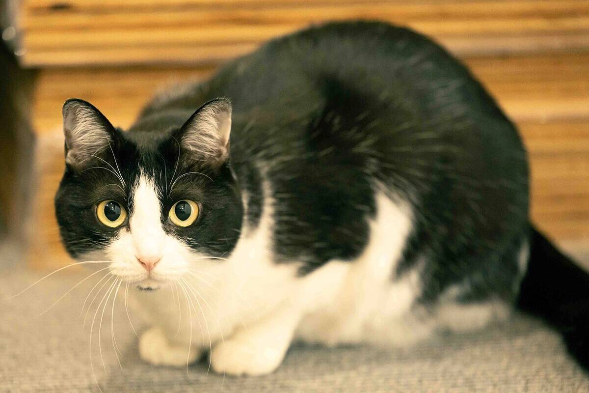 【お悩み相談連載：さらば青春の光・東ブクロの『こわいもんなし』】「男が多めに払うシステム、この風潮は変わらんでいい気がします」