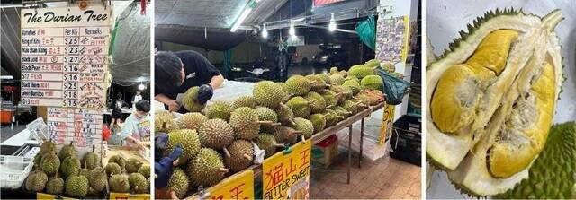 限りなく境界に近い科学～シンガポール（3）【「新型コロナウイルス学者」の平凡な日常】