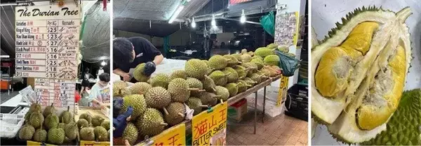 「限りなく境界に近い科学～シンガポール（3）【「新型コロナウイルス学者」の平凡な日常】」の画像