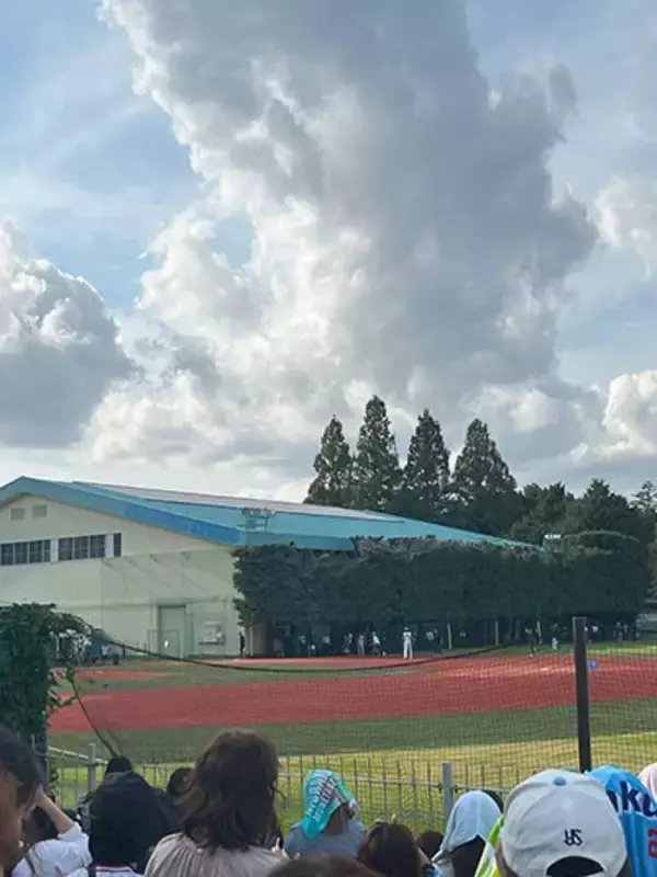 「努力する天才打者、川端慎吾選手の引退に涙【山本萩子の６－４－３を待ちわびて】第186回」の画像