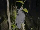 「広がるアジアの網～サパ（2） 【「新型コロナウイルス学者」の平凡な日常】」の画像1