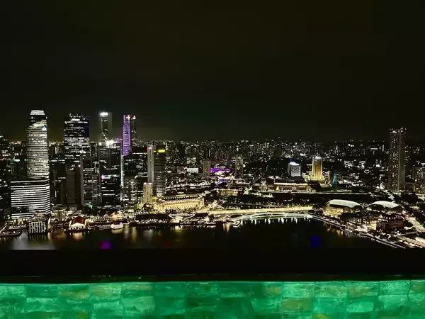 新しい冒険の幕開け～シンガポール（後編）【「新型コロナウイルス学者」の平凡な日常】