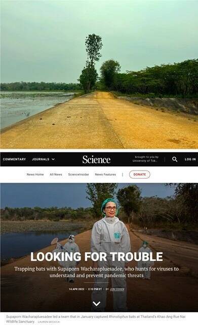 限りなく境界に近い科学～チャチューンサオ（2）【「新型コロナウイルス学者」の平凡な日常】