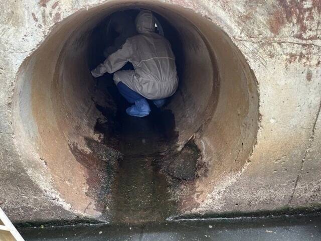 限りなく境界に近い科学～チャチューンサオ（2）【「新型コロナウイルス学者」の平凡な日常】