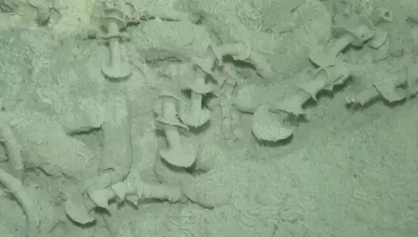 「「デスボール」「ギターシャーク」「ヤイバシロウリガイ」......。これが未知の深海生物だ！」の画像