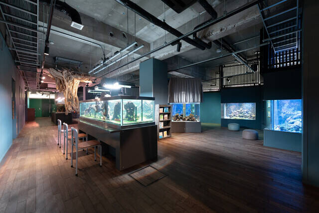 【ルポ・ニッポンの廃校再生物語】AIデータセンター、水族館、醸造所、ウナギ研究所......。新たな地域再生の希望の拠点!?