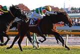 「日本ダービー「万馬券」攻略ガイド!!　ふたりの馬券名人が"競馬の祭典"を大予想！」の画像5