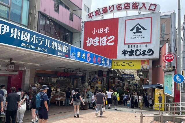 【海鮮丼】たまには日常から外れた贅沢がしたい。熱海の商店街名物の「海鮮てっぺん丼」は、まるで海鮮の富士山！：パリッコ『今週のハマりめし』第250回