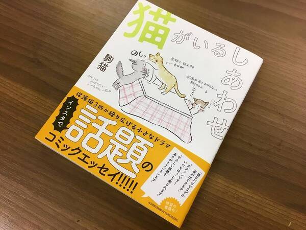 インスタで話題 心がほっこり 猫との暮らし つづるイラストエッセイ 18年8月29日 エキサイトニュース