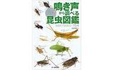 「この鳴き声は何の虫？　鳴き声に注目した「昆虫図鑑」」の画像1