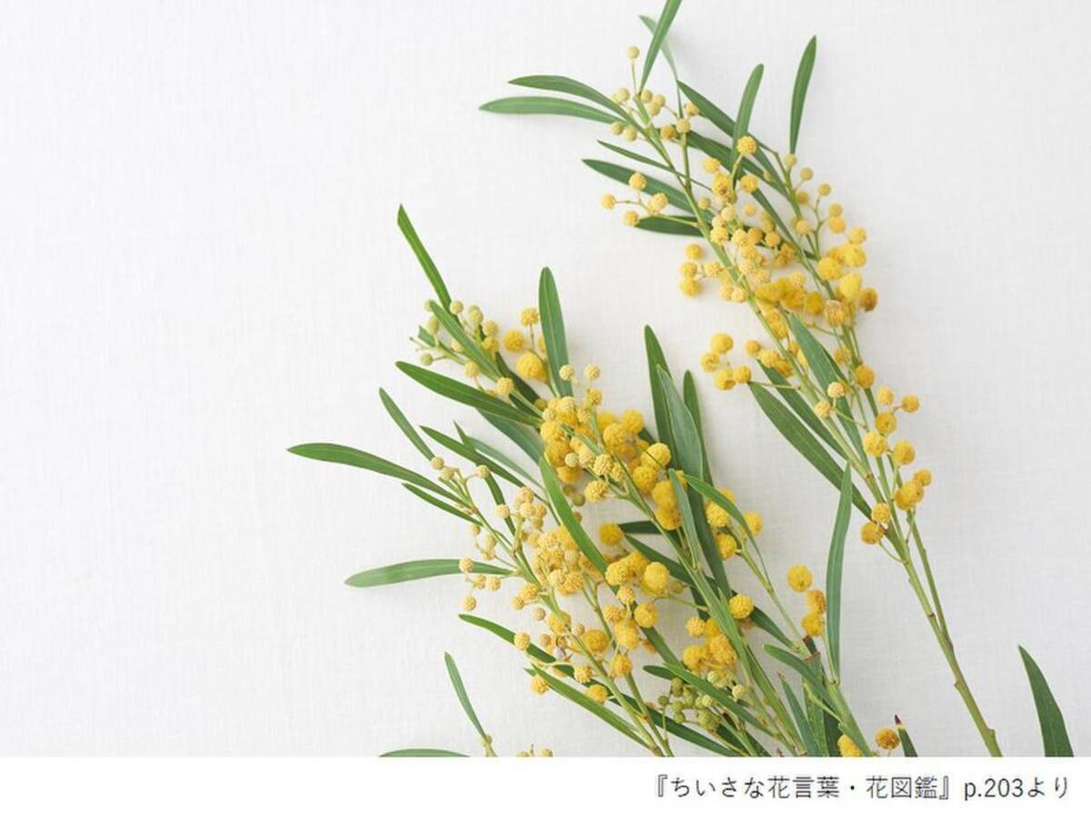 花言葉で 愛 を伝える 春のイベントで贈りたい花６選とその花言葉 年1月24日 エキサイトニュース