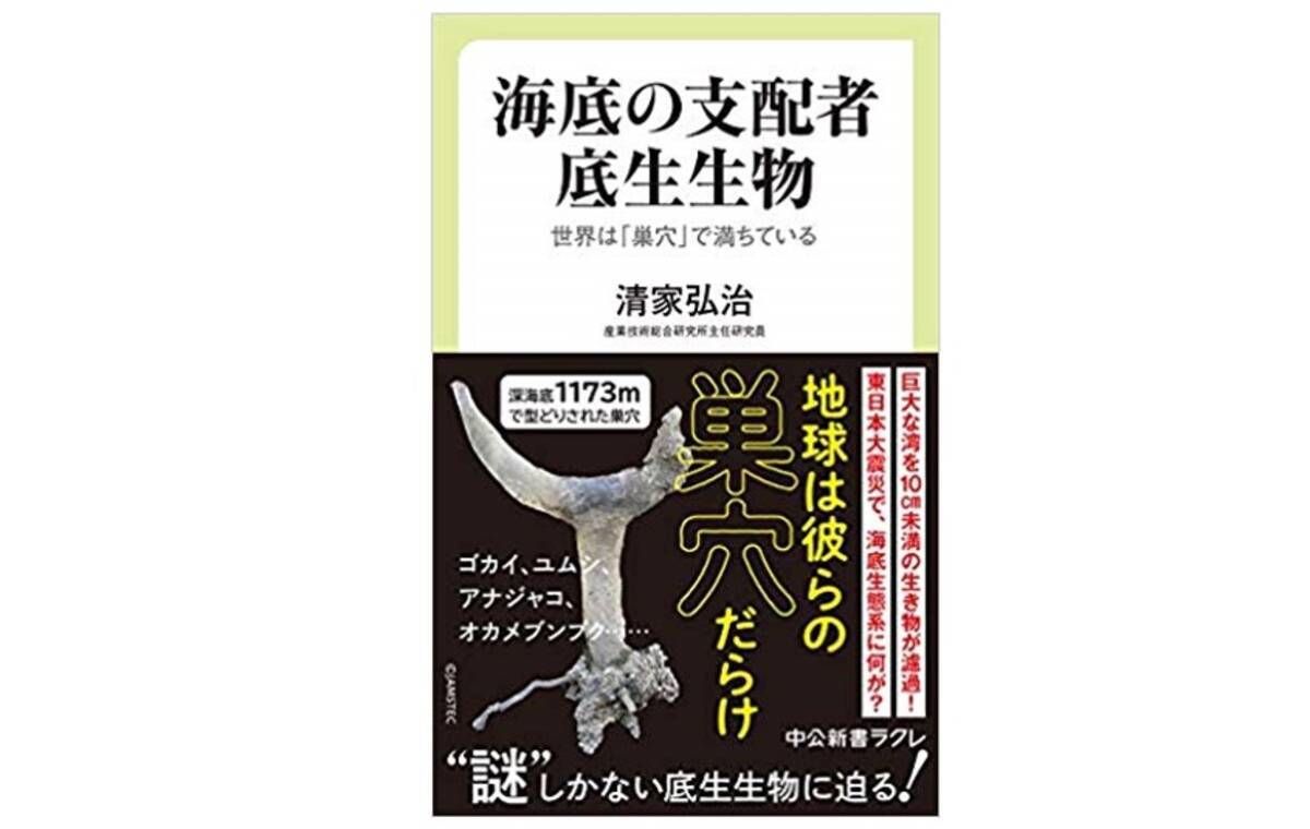 海の底は巣穴だらけ 底生生物の不思議な生態 年2月21日 エキサイトニュース