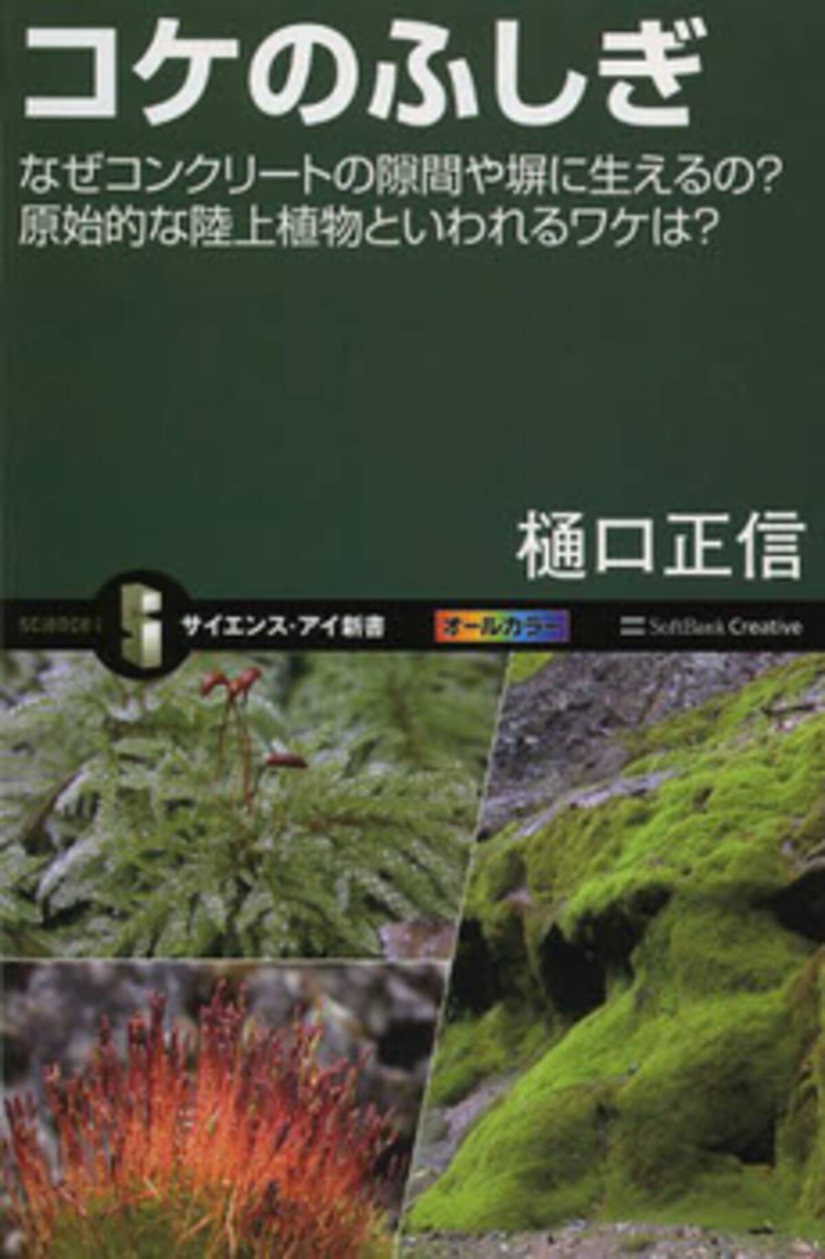 身近だけれど奥深い コケ の不思議 13年8月18日 エキサイトニュース