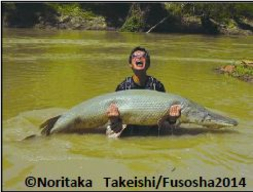 世界で釣り上げた巨大魚は５０種以上 怪魚ハンターが狙う 次の獲物は 17年4月12日 エキサイトニュース