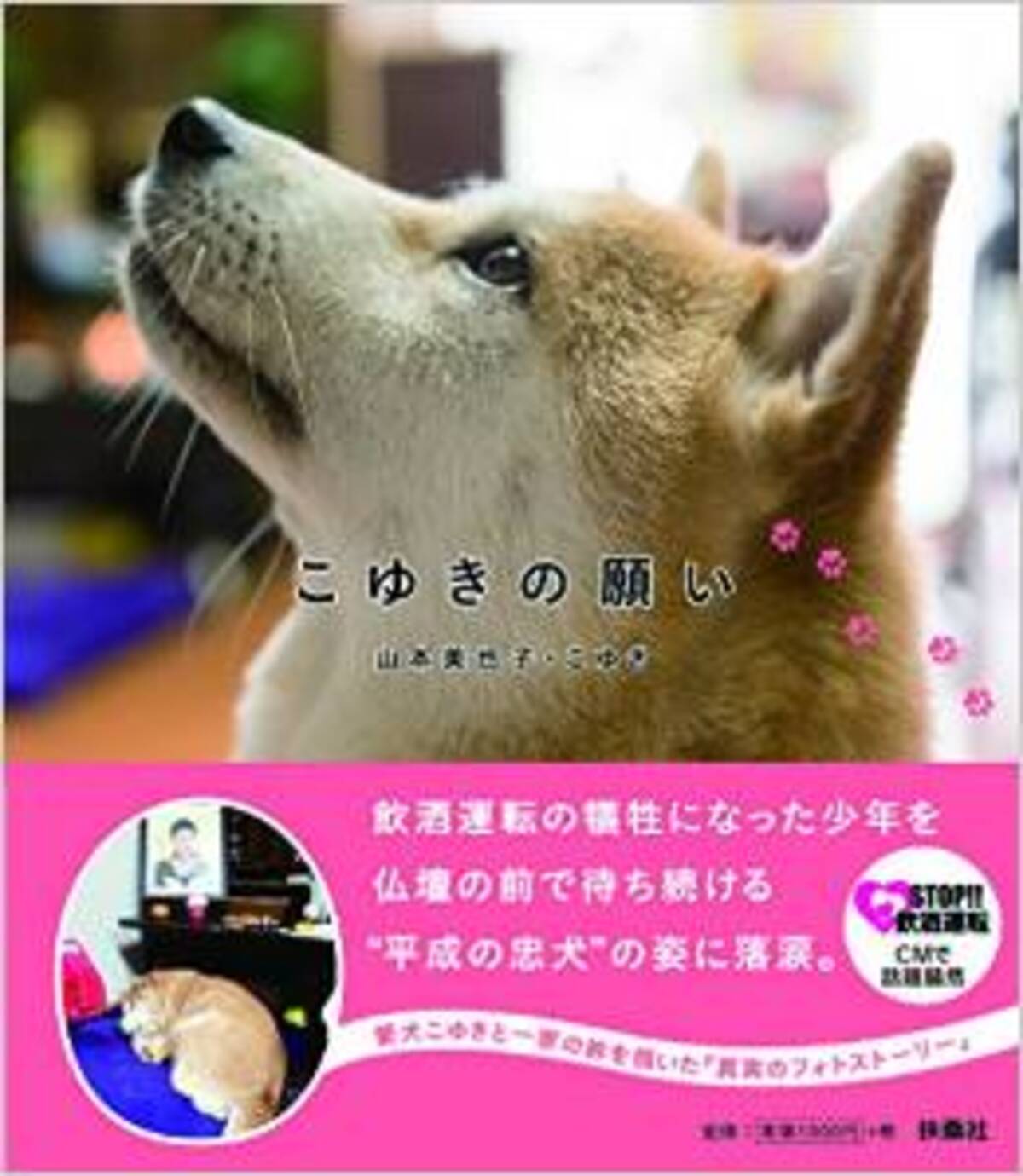 交通事故で亡くなった飼い主を待ち続ける 平成の忠犬 14年12月5日 エキサイトニュース