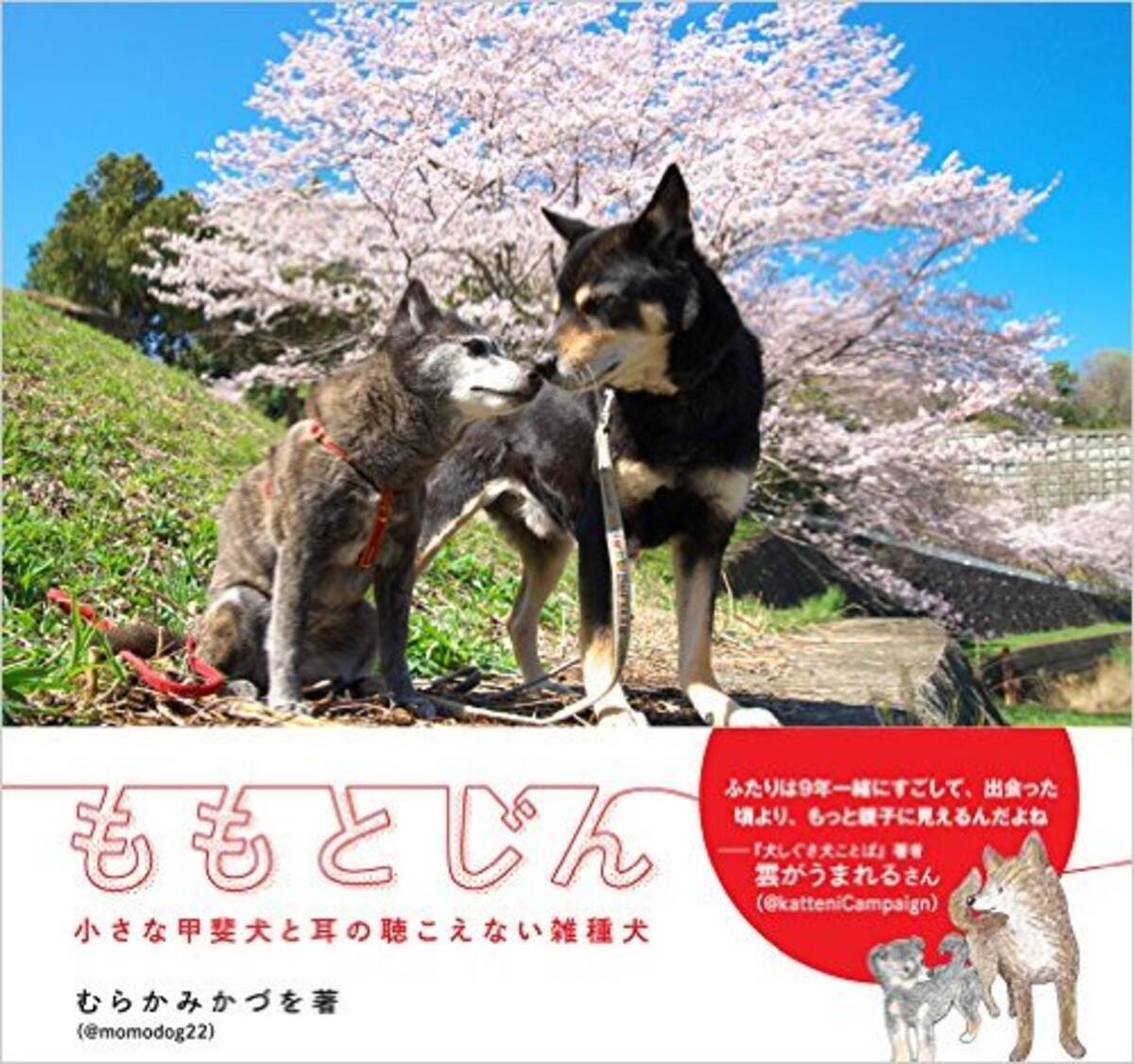 耳が聴こえない雑種犬と小さな甲斐犬の感動の 交流 15年10月15日 エキサイトニュース