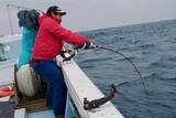 「「幻の魚」クエ漁に同行したらまさかのヒット　40kgオーバーの巨大魚は本当に釣れるのか」の画像4