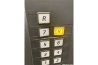 エレベーターのボタンに違和感、“7階に潜む強者”に戦慄が走る…　「行くのが怖い」と話題に