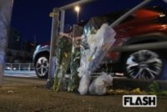 足立区11人死傷ひき逃げ事件、目撃者が明かした「凄惨な現場」…歩道の樹木には、なぎ倒されたような痕跡も