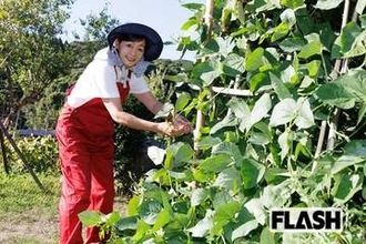 財前直見“故郷”大分で農業に向き合う日々「イノシシ、アナグマの被害も」子育て卒業で向けられた「在来作物」への思い