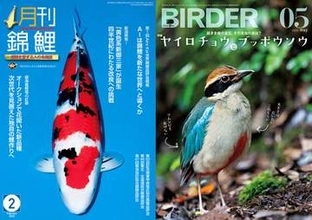 野鳥観察誌は“フェイク写真”混入を危惧・・・老舗専門誌の世界が直面する「AI革命」のリアル