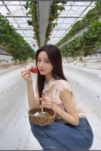 車内を自分の部屋扱い？　美容インフルエンサー、新幹線での“恋愛相談ライブ”が大炎上「貸し切り状態」釈明も火に油