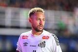 「ネイマール、4度めW杯出場目指し猛アピールの中「後輩を平手打ち」の衝撃…規律厳しい監督を前に遠のくセレソンの座」の画像1