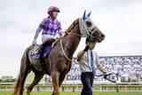 「今村聖奈、女性騎手初のオークス制覇！にわかに注目される“レジェンド”の予言「彼女じゃなかったら1番人気」」の画像1