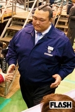 元横綱・稀勢の里の父親が『なんでも鑑定団』に登場「武藤慶司がスカウトに」明かされた知られざる“入門前秘話”にファン驚愕