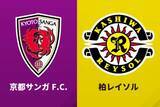 「柏、小泉佳穂の“電光石火ゴラッソ”を皮切りに6発！　吉田達磨暫定体制初陣の京都を敵地で粉砕」の画像1