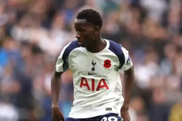 トッテナムMFサールが代表戦で負傷交代…ノース・ロンドン・ダービー欠場の可能性
