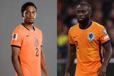「日本とW杯同組のオランダ、ティンバー負傷離脱でヘールトライダを追加招集」の画像1