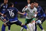 「町田が“東京クラシック”制すも…首位・鹿島とは残り2節で「6」ポイント差、東京Vは3連敗」の画像1