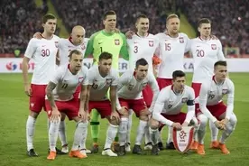 W杯初出場のアイスランド代表 メンバー23名を発表 負傷中のシグルズソンも選出 18年5月12日 エキサイトニュース
