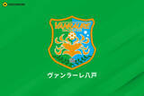 「八戸、クラブ史上初のJ2昇格は最終節に持ち越し…勝利で望みを繋いだFC大阪と一騎討ちに」の画像1