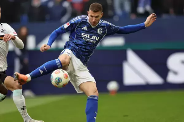 ジェコが独2部シャルケへの今冬移籍を回想…「重要なのはお金ではなかった」