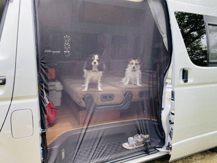 愛犬と夏の車中泊旅へ ペットのための車中泊暑さ対策 涼感tips集 21年7月5日 エキサイトニュース 2 3