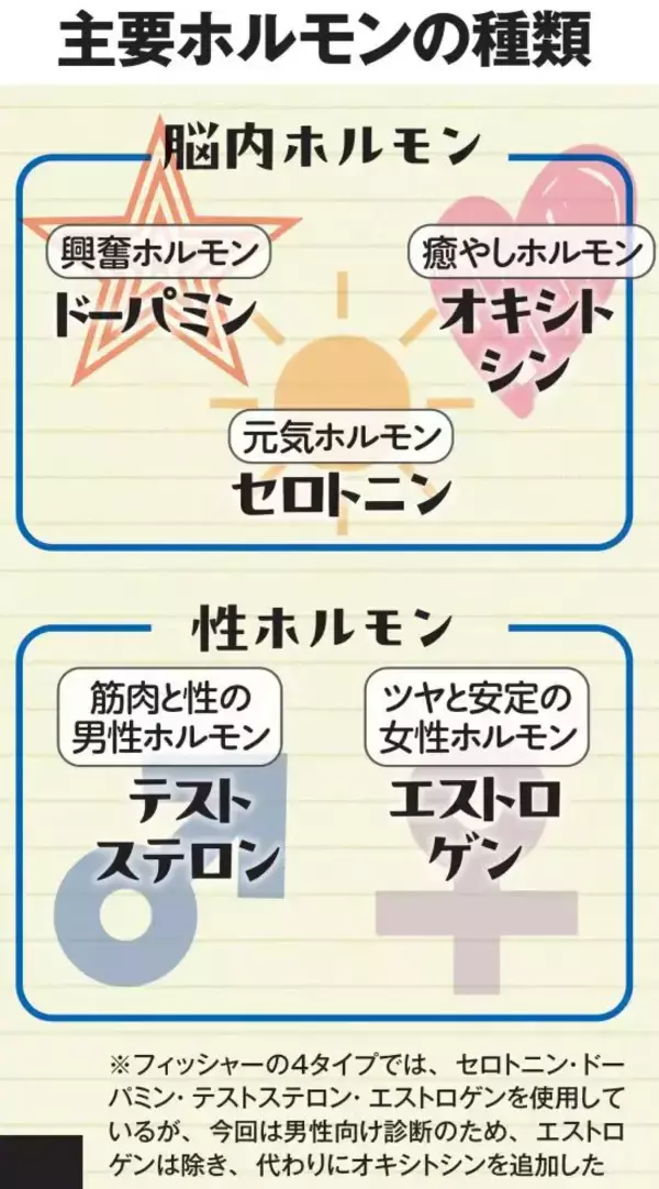 「中年の謎の疲れの原因は「好きな女性のタイプ」に隠されている!? 脳科学が解明する“4つのホルモンタイプ”とは」の画像