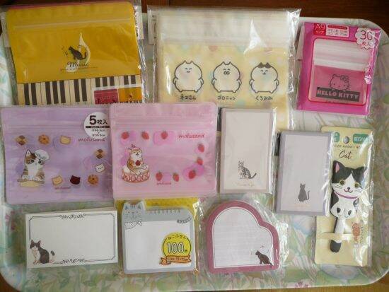 「どうして日本人はこんな神業ができるの？」外国人女性が驚いた“日本の光景”。電車、コンビニ、100円ショップ… ――仰天ニュース特報