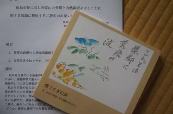 「「目が痛くて数秒も見ていられない」福島県の山を覆う“9万6000枚”の太陽光パネルに地元住民が悲鳴」の画像