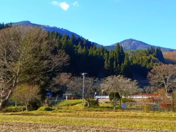 「「捕獲したら殺すしかない」岩手県在住68歳男性が“クマ被害の実態”を語る。「山に放してもまた降りてくる」ワケ」の画像