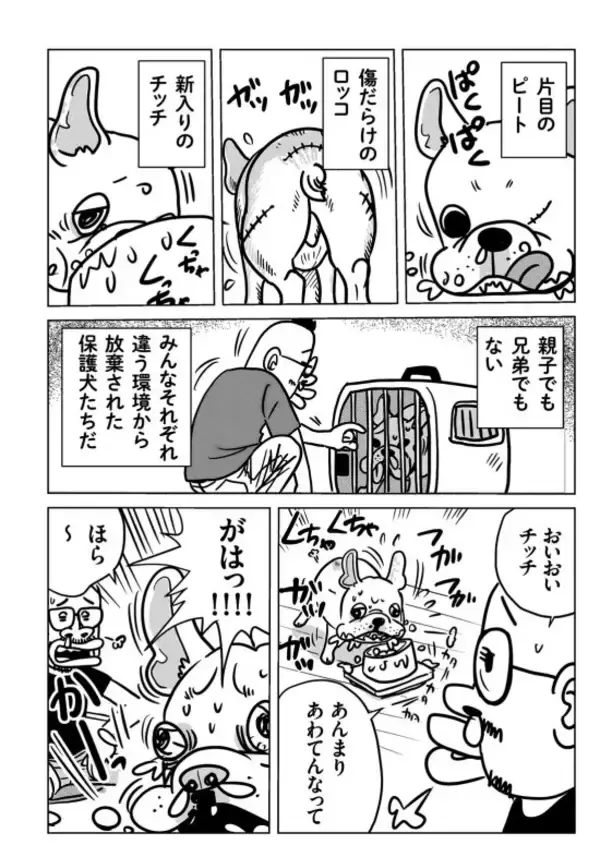 「「肉体も精神も限界でした」『マキバオー』の作者・つの丸が漫画を描くことを辞めた9年間。今、再びペンを執ったワケ」の画像