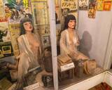 「「ドキュメント72時間」がきっかけで観光スポットに。伊豆にある“もっともイカれたミュージアム”の正体」の画像10