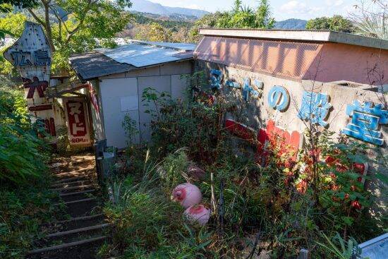 「ドキュメント72時間」がきっかけで観光スポットに。伊豆にある“もっともイカれたミュージアム”の正体