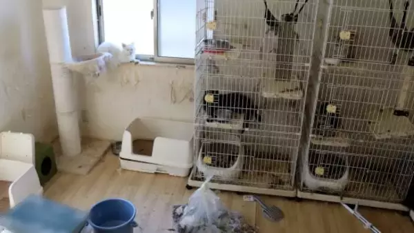 「「孤独死が起こった現場の清掃」だけではない、特殊清掃業者の仕事内容とは？ペットの死体処理をすることも」の画像