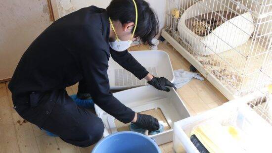 「孤独死が起こった現場の清掃」だけではない、特殊清掃業者の仕事内容とは？ペットの死体処理をすることも