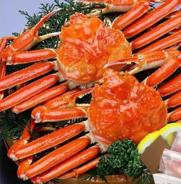 「このカニ、まずくない？」と思う前にやるべき事。“外れ個体”を引かない目利きと、最強の「冷凍保存＆解凍」でポテンシャルを最大限に
