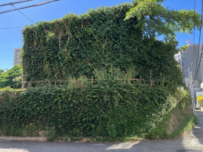 沖縄の空き家から「2億円」。壁の中に眠っていた遺産のナゾと、肝試しで“宝”を当てた少年たちの「衝撃の末路」